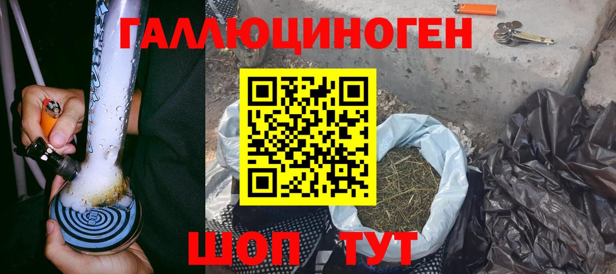 Елизово  Галлюциногенные грибы Magic Shrooms  Псилоцибиновые грибы GOLDEN TEACHER  Вход с VPN 