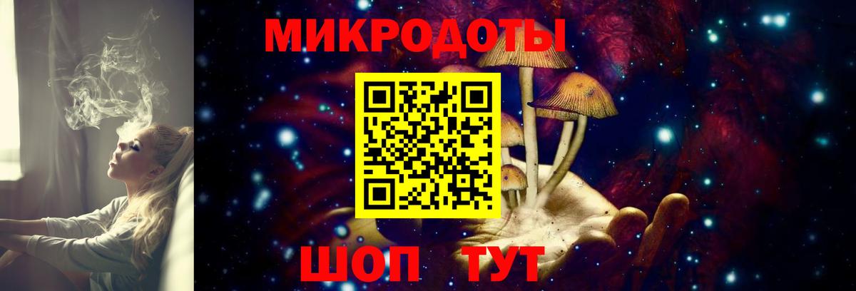 Псилоцибиновые грибы мицелий Елизово